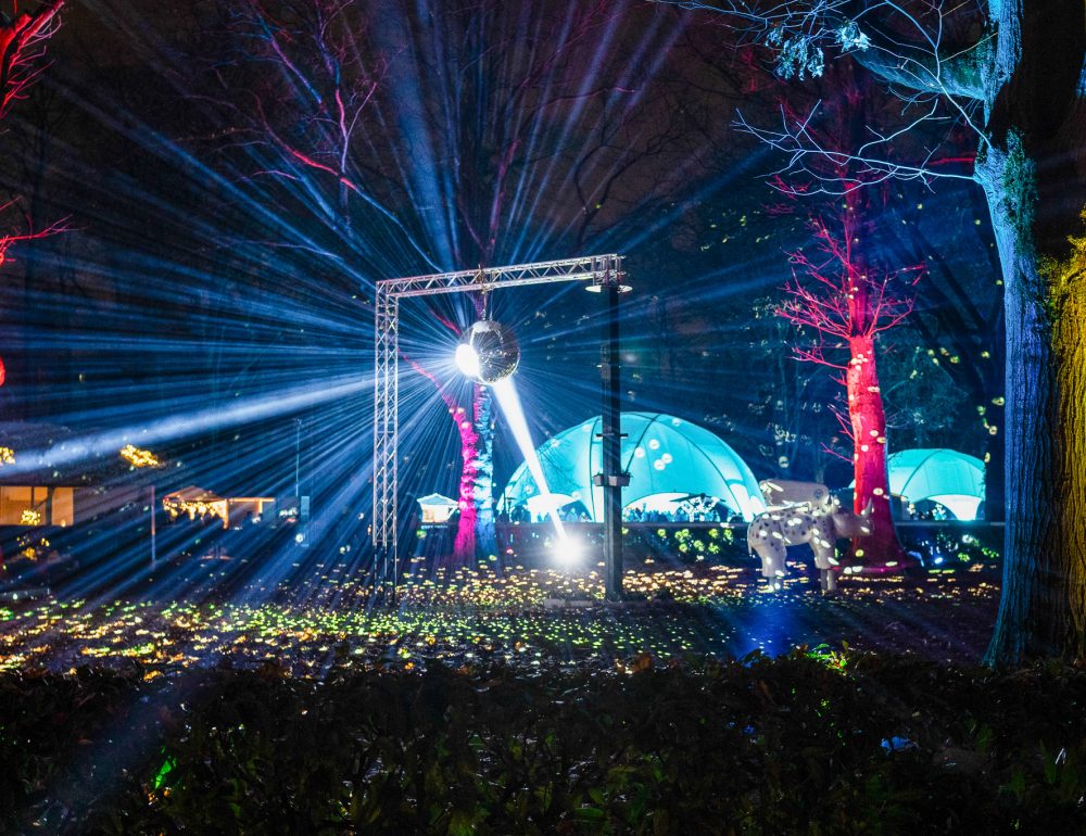 20231201_Remondis_Firmen Weihnachtsmarkt (23)